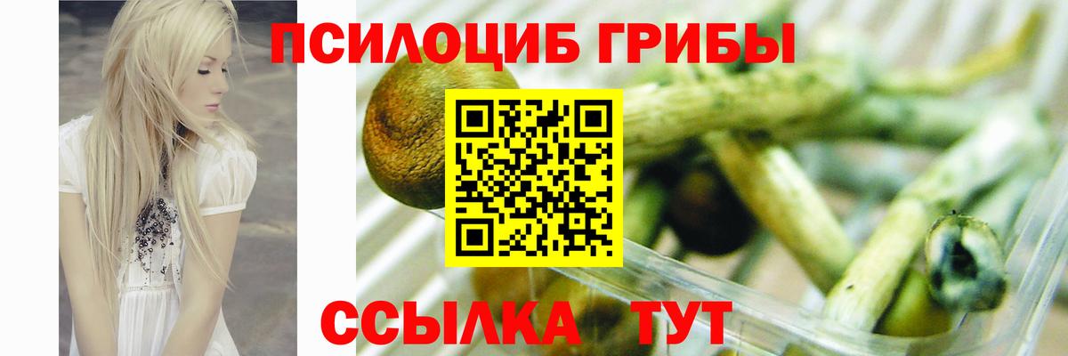 Псилоцибиновые грибы Magic Shrooms  Галлюциногенные грибы Cubensis  Вход с VPN  Воркута 